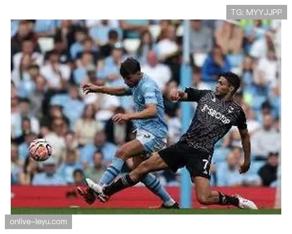 富勒姆2025赛季强势崛起，冲击英超顶级行列希望重燃