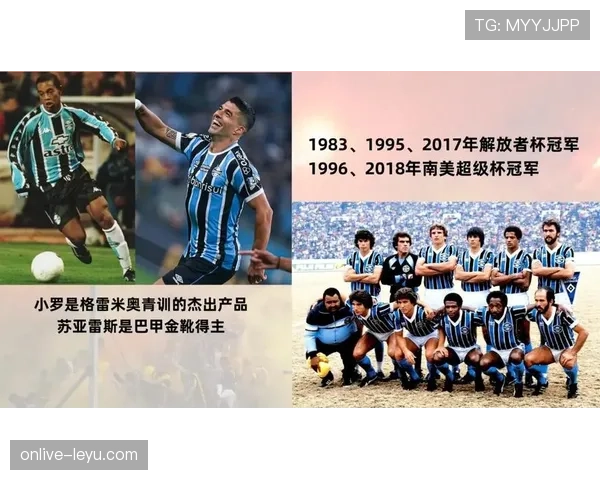 南美足球新结构改革聚焦青训,年轻人才成未来发展关键 南美足球新结构改革聚焦青训,年轻人才成未来发展关键