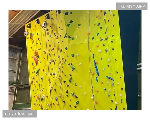 球门尺寸规则详细拆解：标准尺寸与赛事适用有哪些区别？