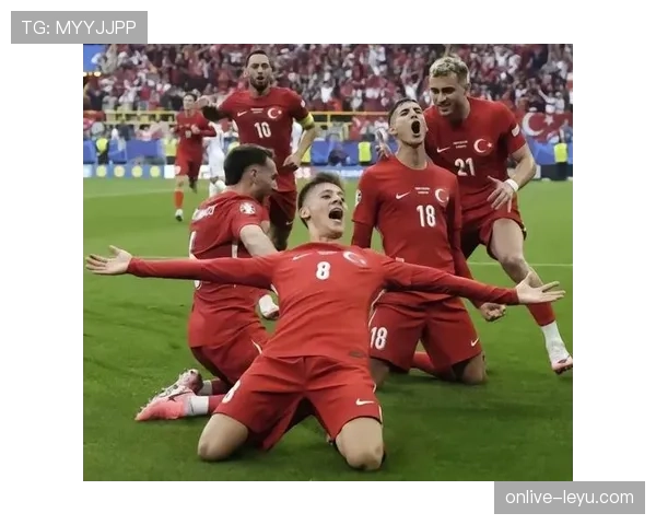 世界杯土耳其队D组世界排名对比